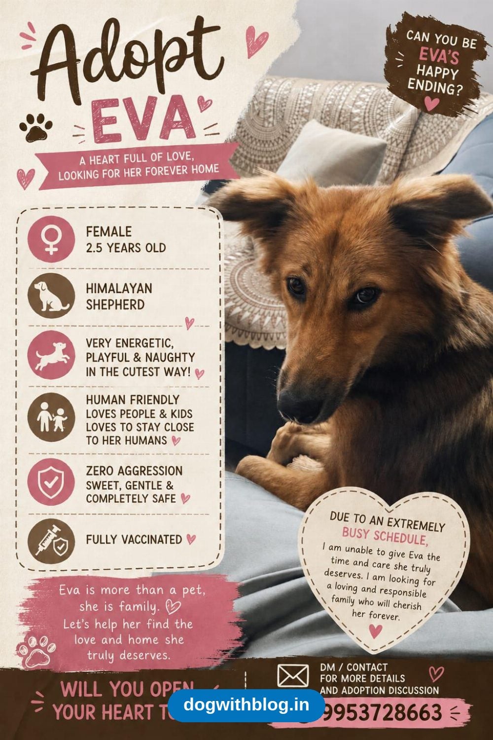 Eva, a Vaccinated 2.5-Year-Old Himalayan Shepherd, Needs a New Home — Delhi NCR