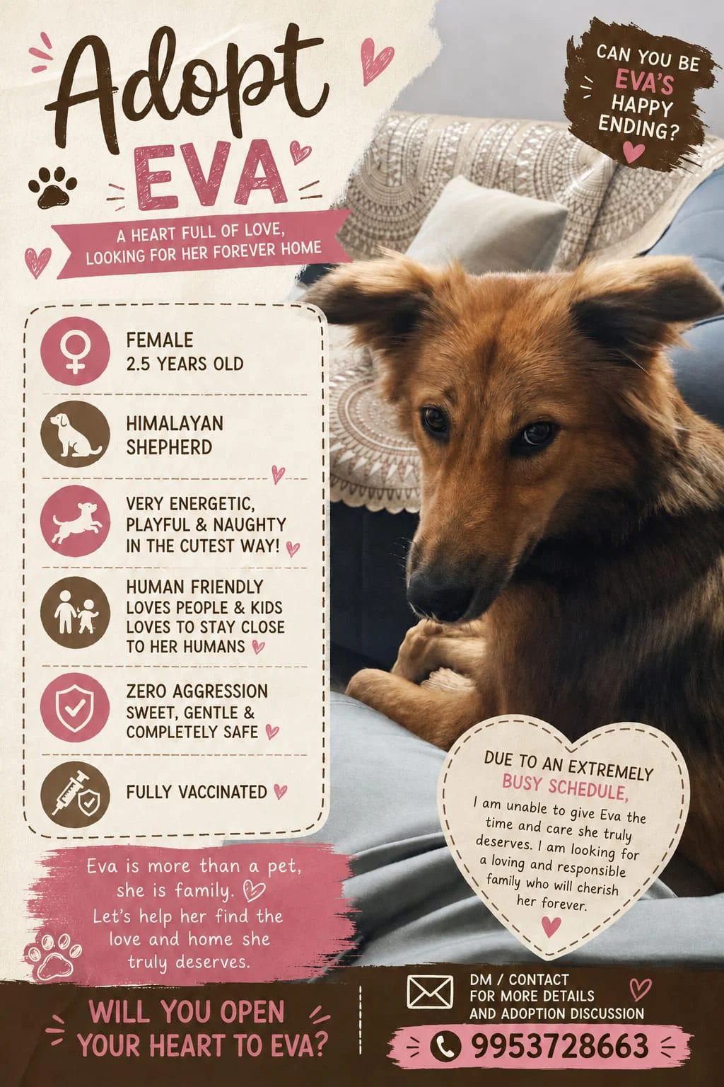 Eva, a Vaccinated 2.5-Year-Old Himalayan Shepherd, Needs a New Home in Delhi NCR