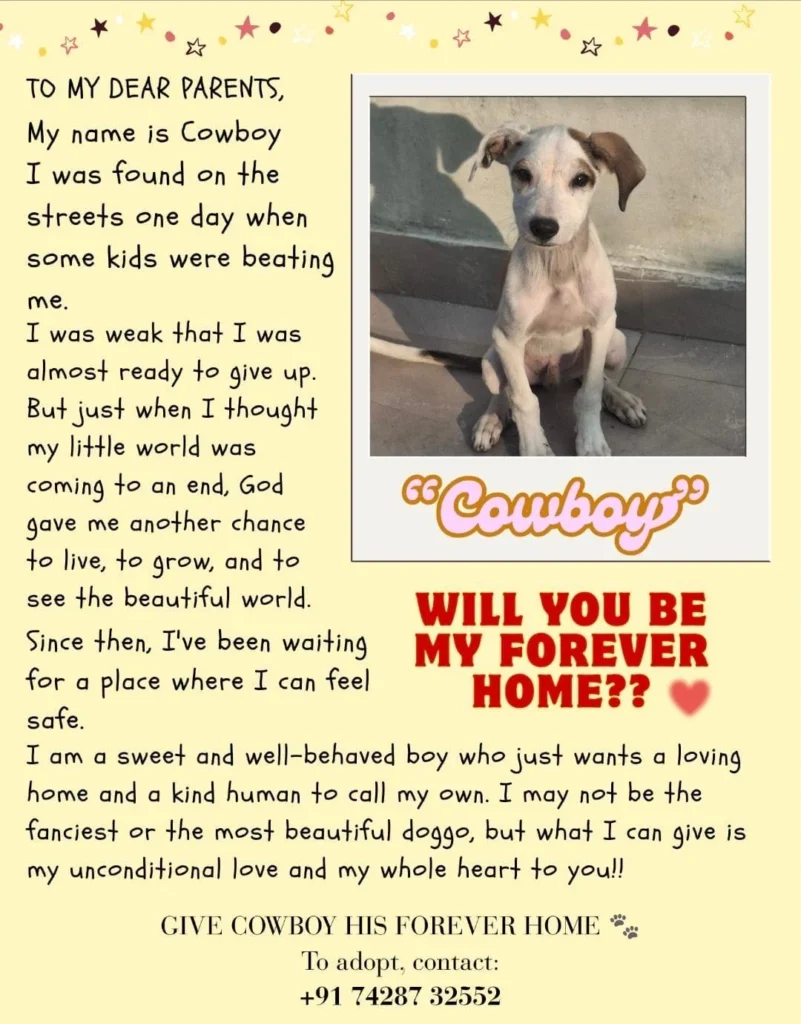 Adoption poster for Cowboy, showing a white and brown puppy with floppy ears sitting beside a wall, with the line Will you be my forever home