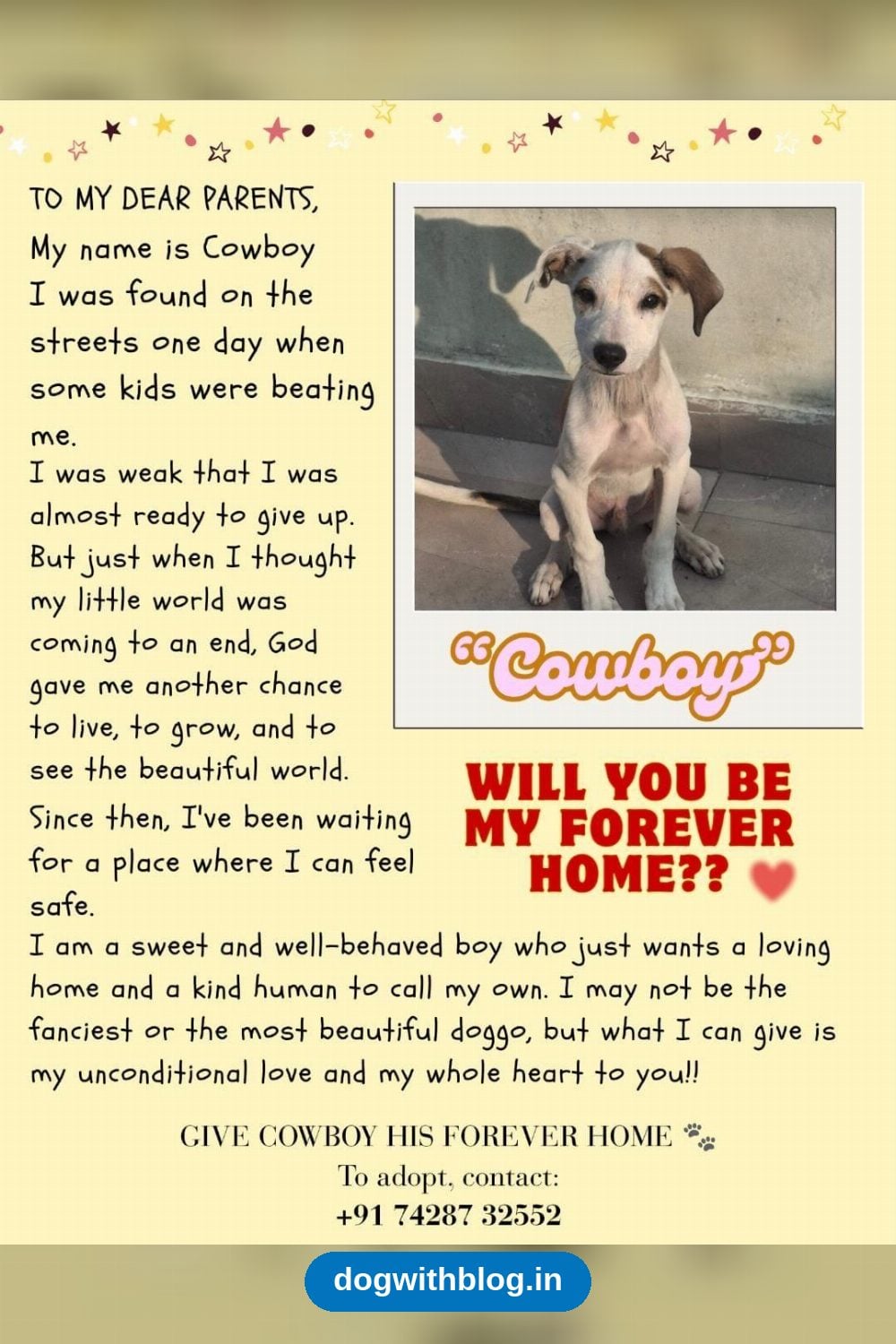 Cowboy, a Gentle Indie Pup Who Survived a Beating by Local Kids, Needs a Home in Delhi NCR