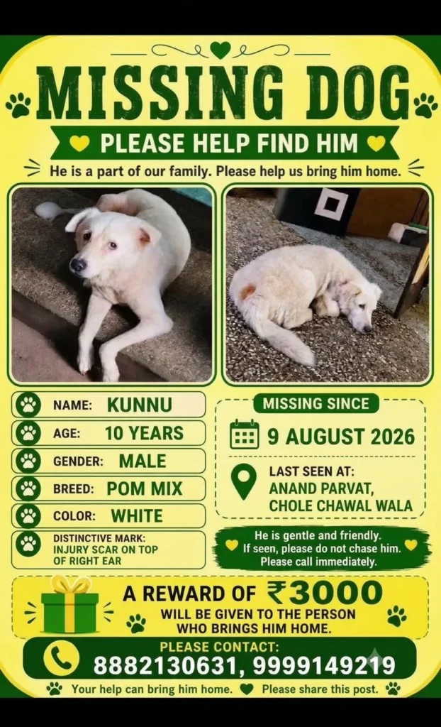 Missing dog poster for Kunnu, a 10-year-old white Pom mix with a scar on his right ear, last seen at Anand Parvat, Delhi. Two photos of Kunnu sit above his details and a Rs 3,000 reward.