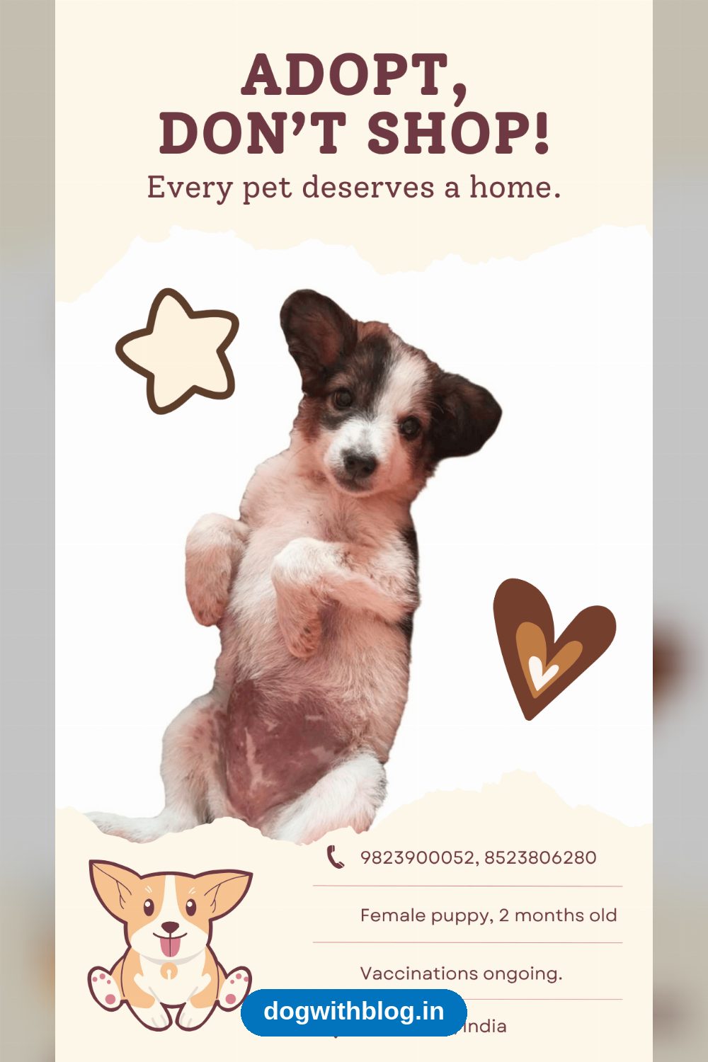 Pari, a 2-Month-Old Female Pup Who Learns Fast, Needs a Home in Bengaluru