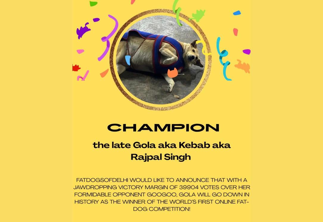 Fat Dogs of Delhi champion card for the late Gola, also known as Kebab and Rajpal Singh, announcing her 39,904-vote win over Googoo