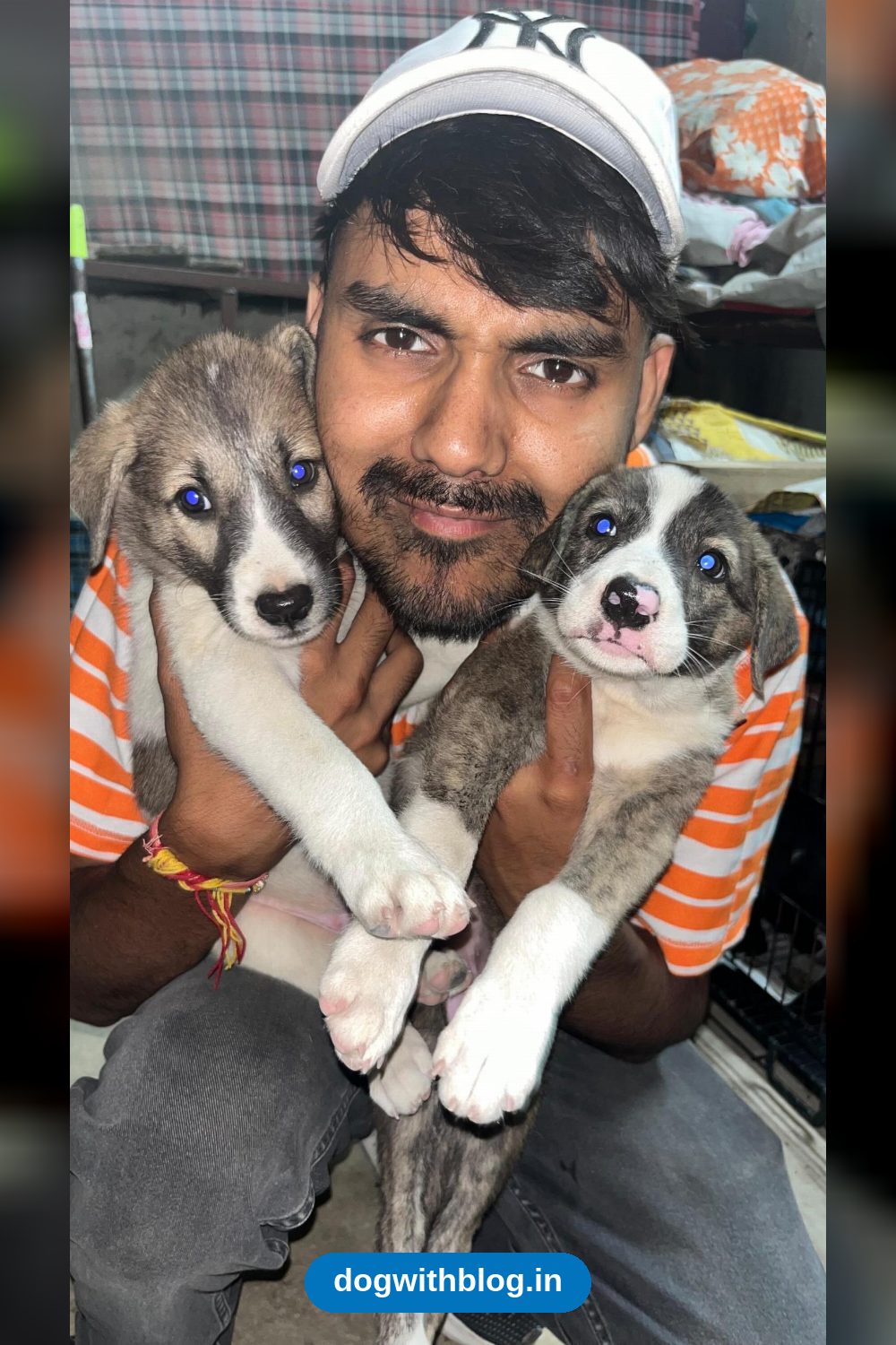 Two Bonded Rescue Puppies Need a Home Together in Delhi NCR