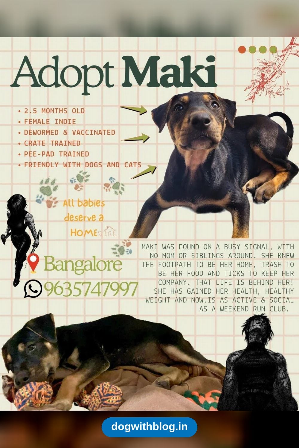 Maki, a 2.5-Month-Old Indie Puppy Found on a Busy Signal, Needs a Home — Bengaluru