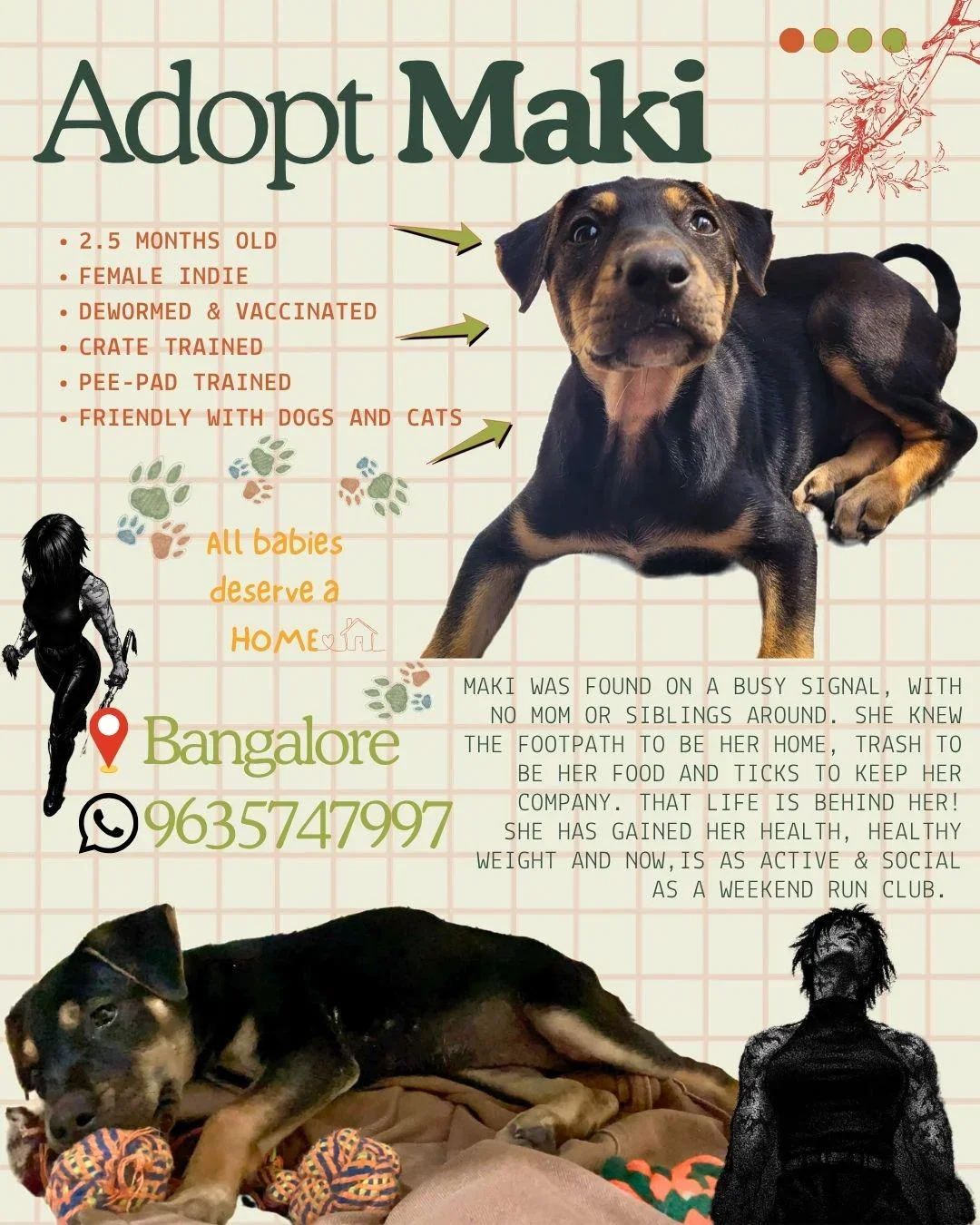 Adoption poster for Maki, a black and tan indie puppy lying on her front with her head raised, with a second photo of her resting on a blanket next to orange rope toys.