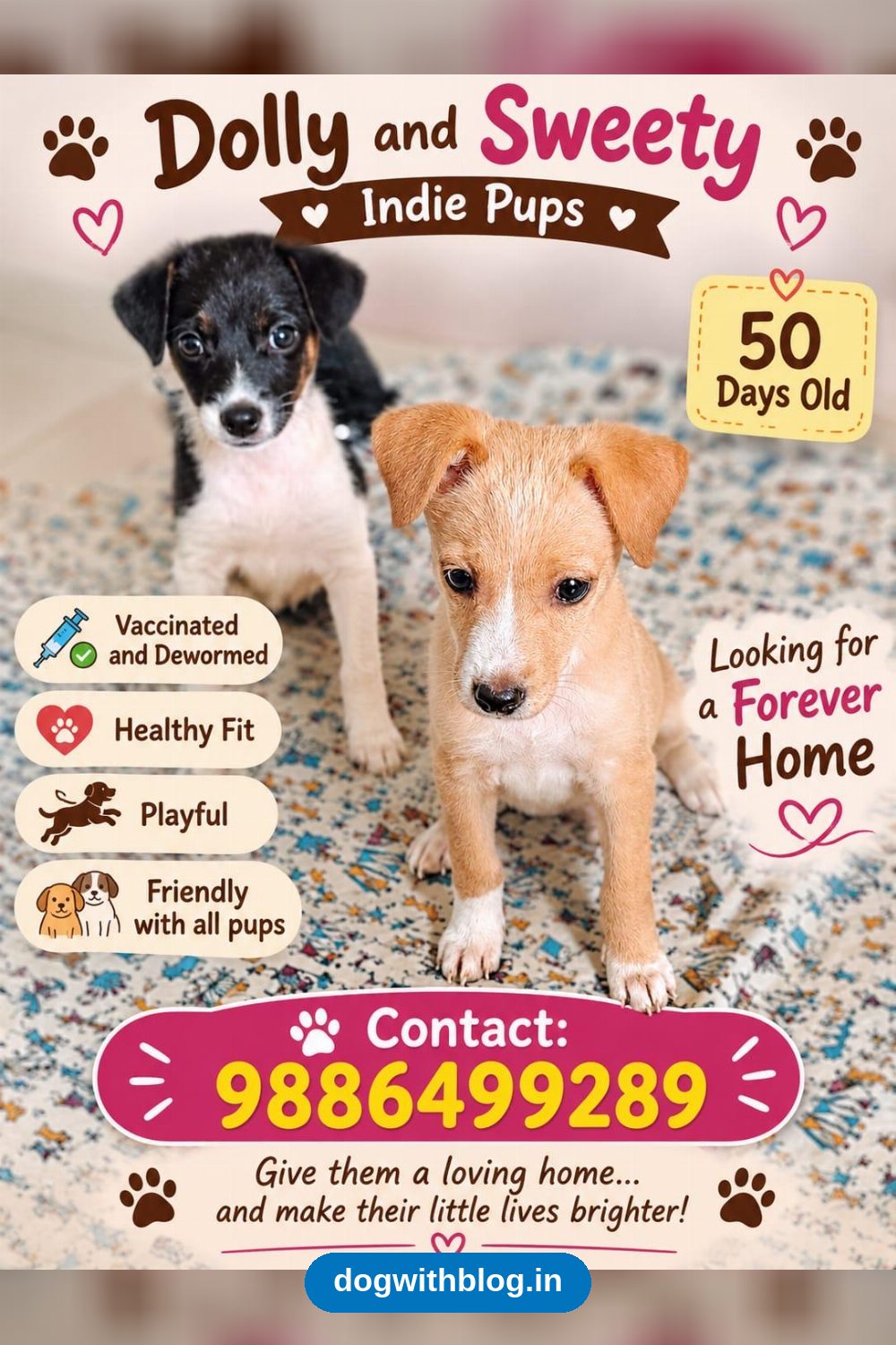 Dolly and Sweety, 50-Day-Old Indie Pups