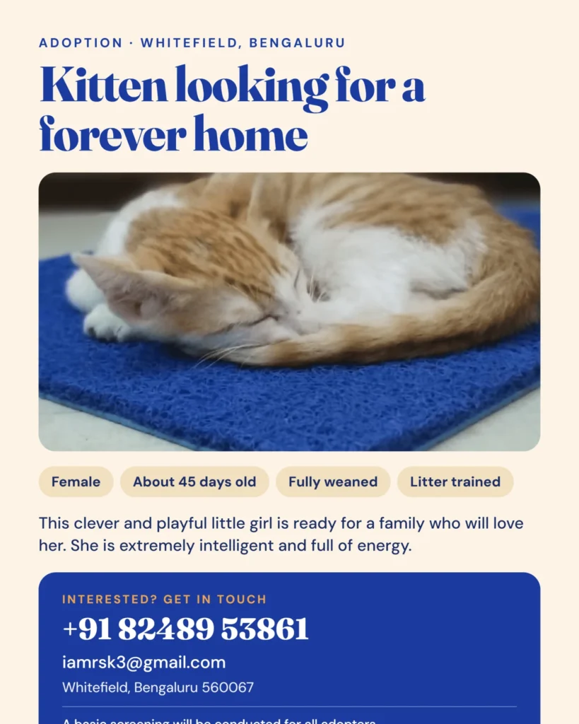 A small orange and white kitten curled up asleep on a blue doormat. Adoption poster for a 45-day-old female kitten in Whitefield, Bengaluru.