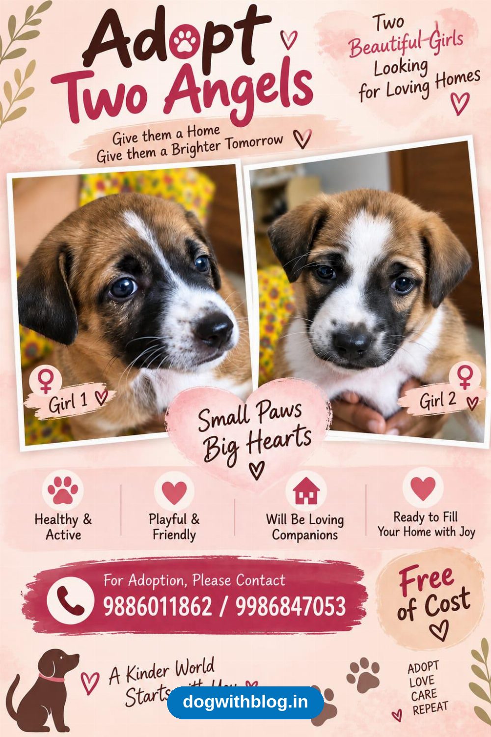 Two Indie Puppy Girls From Jigani Need Homes — Bengaluru