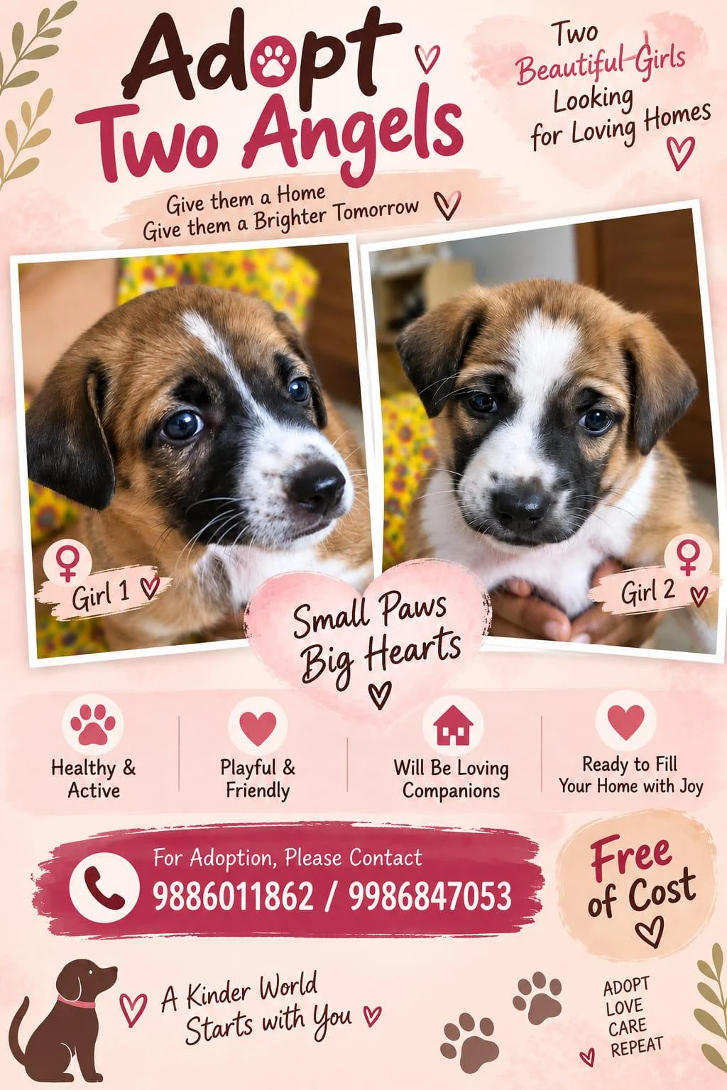 Two Indie Puppy Girls From Jigani Need Homes in Bengaluru