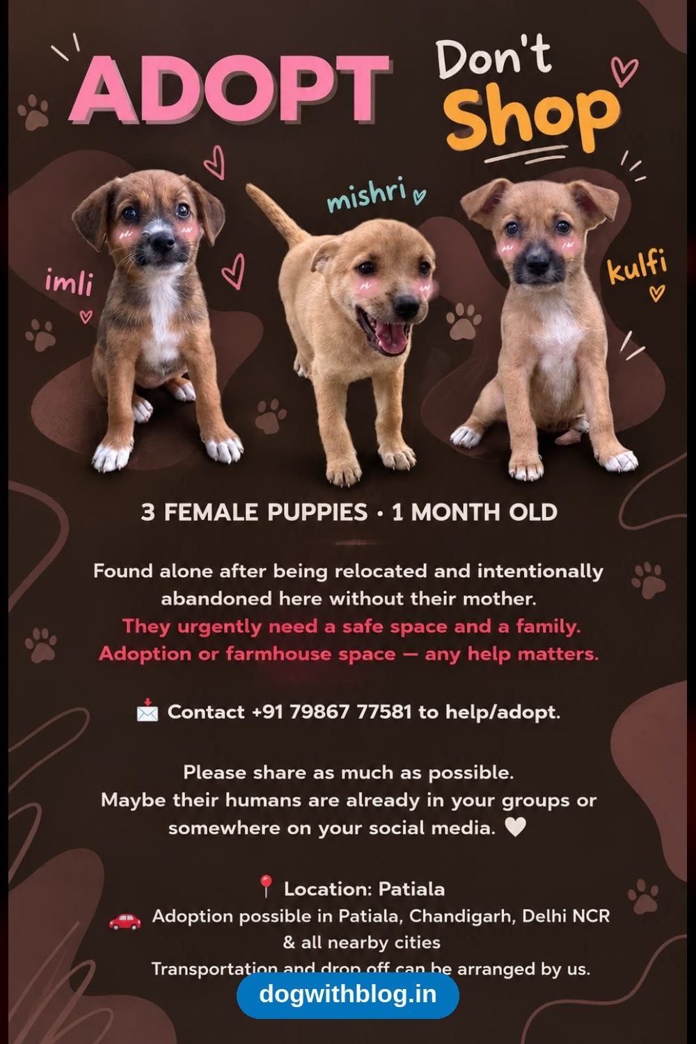 Imli, Mishri and Kulfi, Three One-Month-Old Puppies Abandoned in Patiala, Need Homes